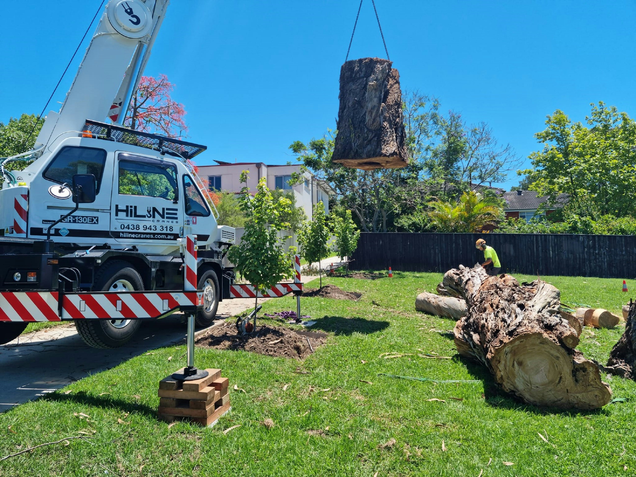 Oak Wilt Management