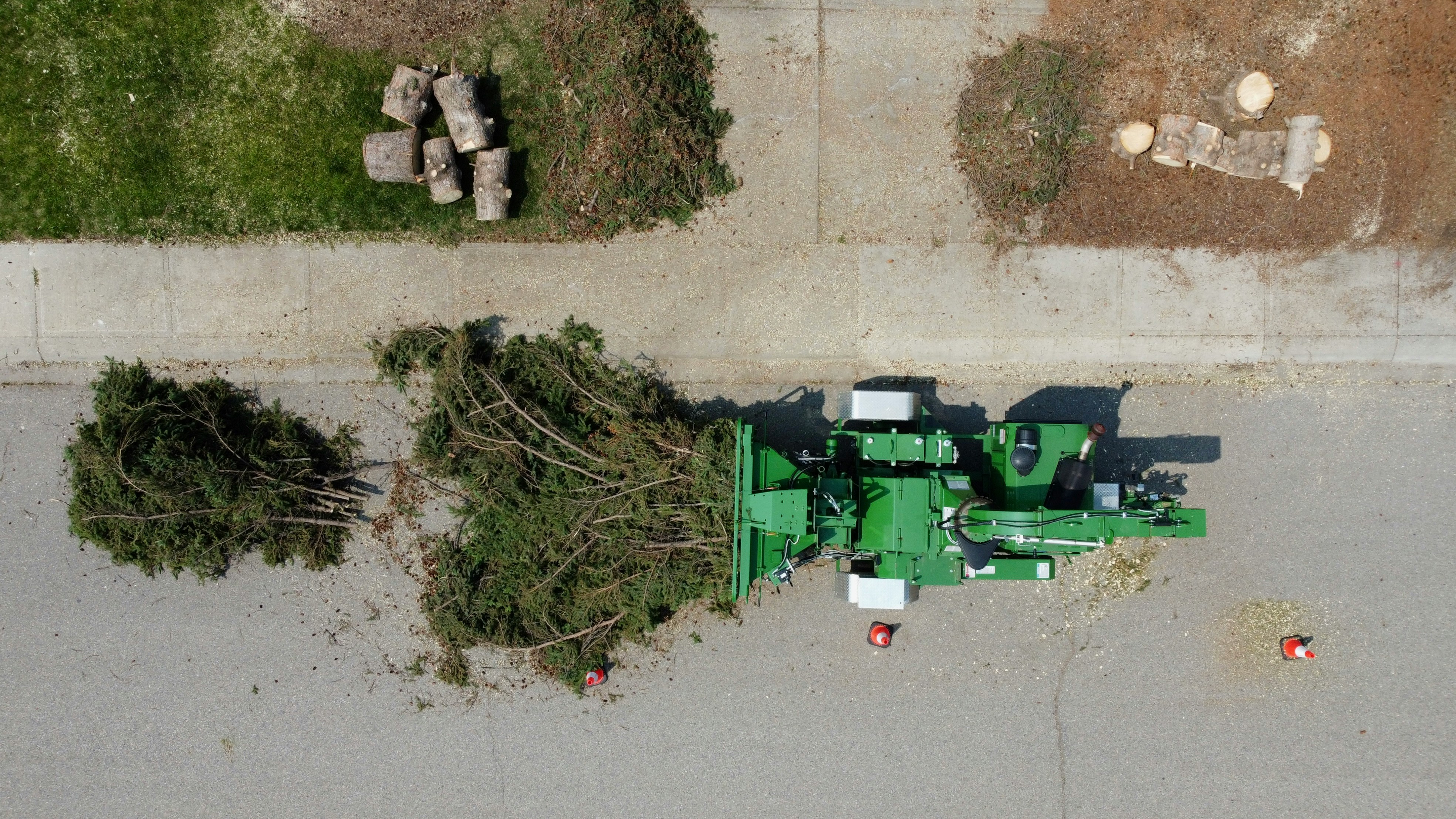 Stump Grinding after removal